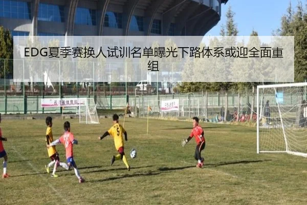 EDG夏季赛换人试训名单曝光下路体系或迎全面重组