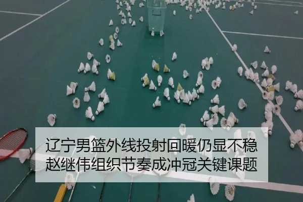 辽宁男篮外线投射回暖仍显不稳 赵继伟组织节奏成冲冠关键课题